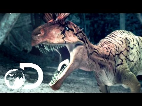 Cryolophosaurus Battle - Reign of the Dinosaurs