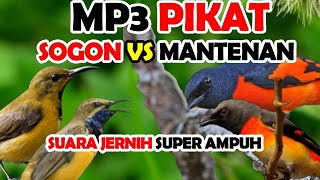 Download lagu SUARA PIKAT SOGON RIBUT KOMBINASI MANTENAN RIBUT SUPER AMPUH mp3