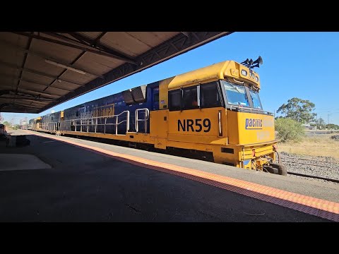 7XM4 PN up Steelie/Boxes (NRs 59 119 104, 44P), Spencer Jn to Melbourne, 1017, 18/1/26, Horsham VIC 