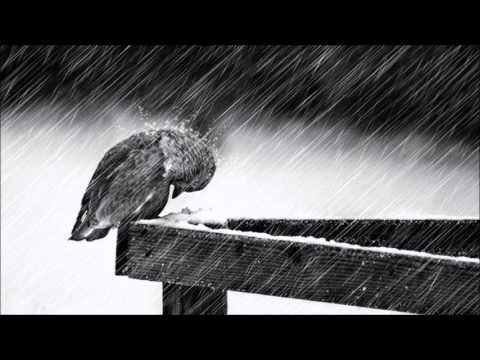 Cold - Jorge Mendez (1 Hour Mix with Subtle Rain) [Saddest Piano & Violin Ever]