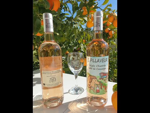 niglo chatrie Miniature vidéo YouTube 21