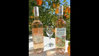 Miniature de la vidéo