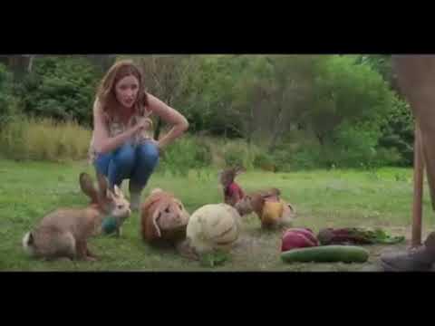 Rabit el conejo travieso película