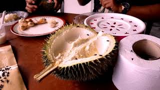 preview picture of video 'Trip Durian'