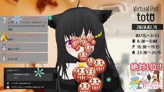 【SHOWROOM】totoฅ•ω•ฅとある猫カフェ＜ミラー配信＞