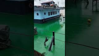 Download lagu Tongkangq kandas, sepenting cintaq ro awakmu ra kandas .....cuaakkkkkkk😀😀😀😂😂😂 mp3