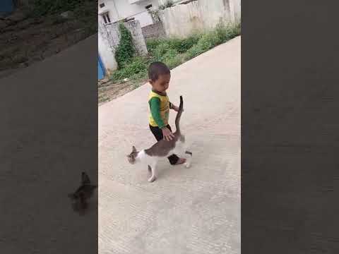 19 जुलाई 2024