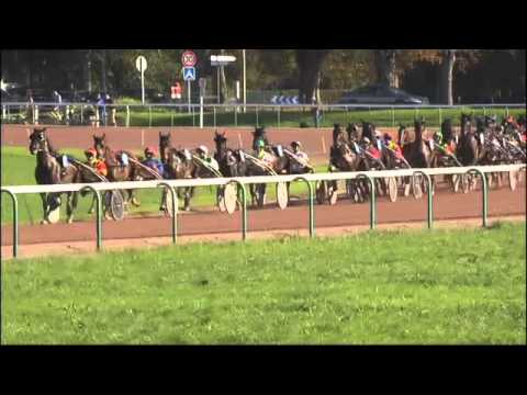 Vabellino - 18 octobre 2014 - Caen - Prix de la Ville de Caen