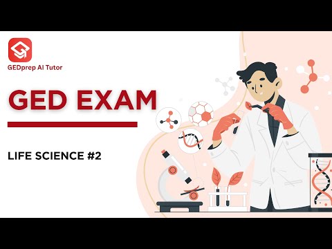 GED Practice Test 1 Math TruePrep