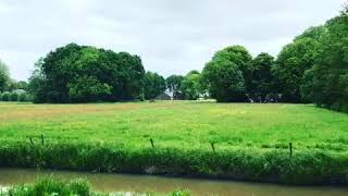Uitzicht vanuit de woonkamer en tuin aan de Scholekster 79 Eemnes