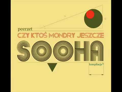 PeeRZeT/DJ NoOne Czy Ktoś Mondry Jeszcze Sooha? (2010)