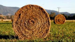 Ramones - Blitzkrieg Bop