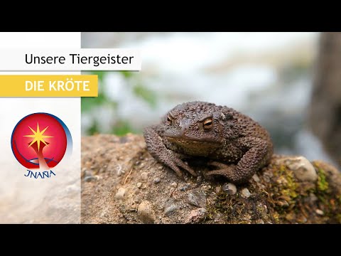 Unsere Tiergeister: Die Kröte - Mächtiger Erdgeist