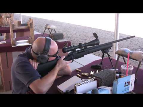 338 Lapua, Sniper, Rifle, longest shot, most powerful, magnum