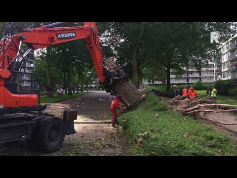 Uit voorzorg is nog een tweede boom omgezaagd