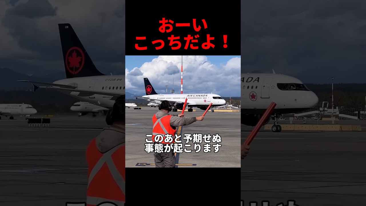 どこまでいくのー！？ #shorts #雑学 #豆知識