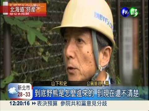 北海道熊出沒! 札幌市區警戒