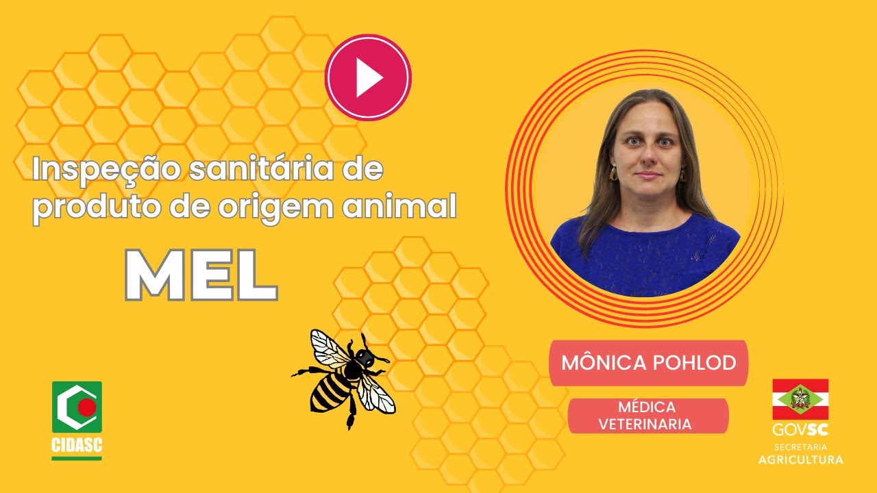 Inspeção sanitária do mel: por que ela protege o consumidor?