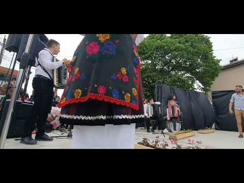 Orkestar ANIP "Naisa" - Prvi dečiji festival folklora "Đurđevdan kraj Morave" - Donje Međurovo 5/5