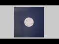 Mental Illness Amazin S Not Playin 1994 StepSun Music Entertainment DJ Paradise 12 Vinyl