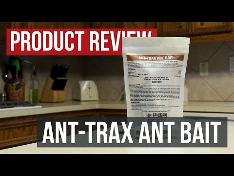 Ant-Trax Ant Bait: Product Review