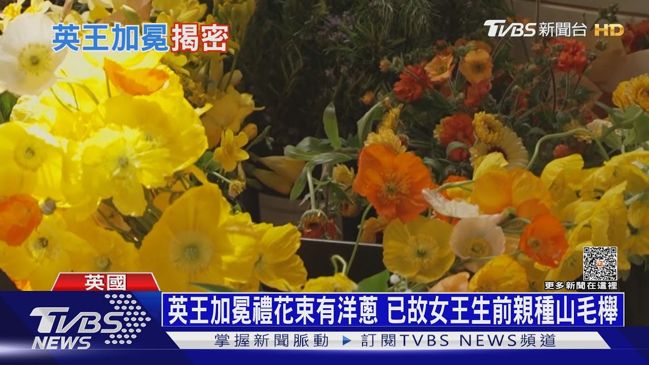 英王加冕禮花束有洋蔥 已故女王生前親種山毛櫸
