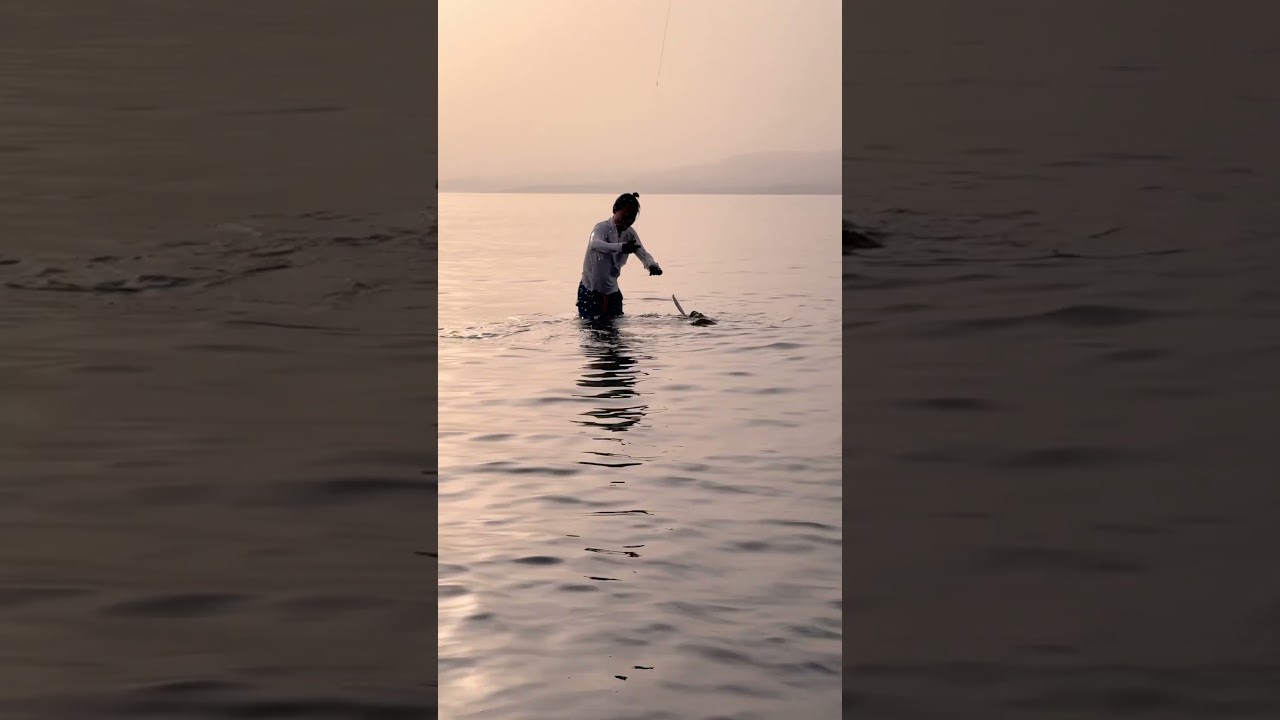 魚が穴に入っても無問題