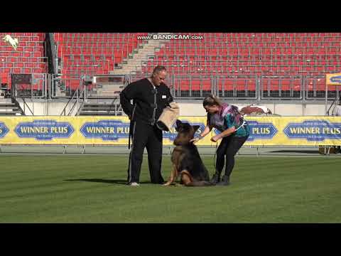 1536 Zeus von Gebrüder Grimm - TSB BSZS-2023