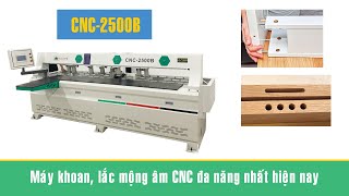 Máy khoan ốc liên kết CNC | CNC-2500B