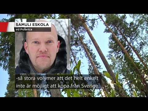Här är årets bluff i matväg - Nyheterna (TV4)