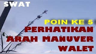 Download lagu 7 Poin Penting Yang Harus Diperhatikan Ketika Melakukan Trik Ini di Lokasi Lintasan mp3 Download lagu 7 Poin Penting Yang Harus Diperhatikan Ketika Melakukan Trik Ini di Lokasi Lintasan mp3
