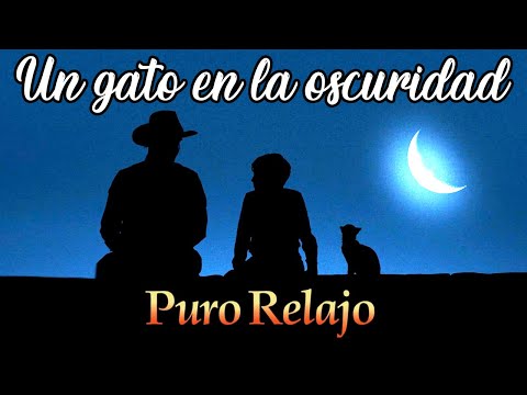 Puro Relajo - "El gato que está triste y azul" 🐈 "Un gato en la oscuridad" 🌙 🐈