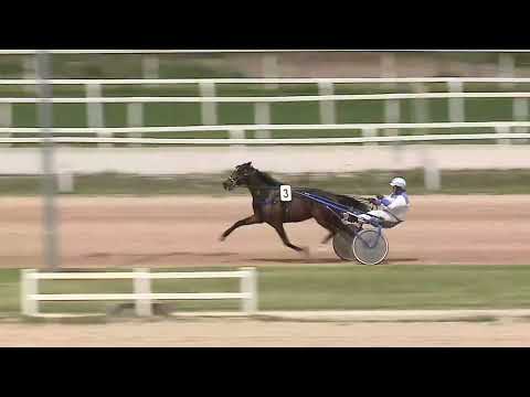 2023.05.06. 02. futam - TIPPMIX - DR. BOROSTYÁNKŐY TAMÁS EMLÉKVERSENY - I. ELŐFUTAM