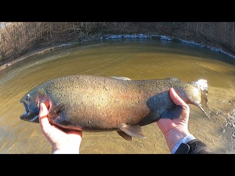 AWESOME LATE WINTER STEELHEAD  FLOAT FISHING (on the jig) #steelhead  #floatfishing  #greatlakes