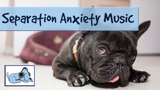 Long Video! Music for Dogs, Compilation for Dogs with Separation Anxiety, Alone During the Day!
