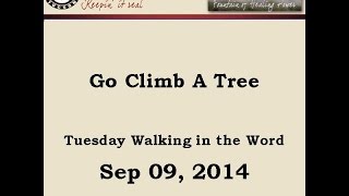 Go Climb A Tree