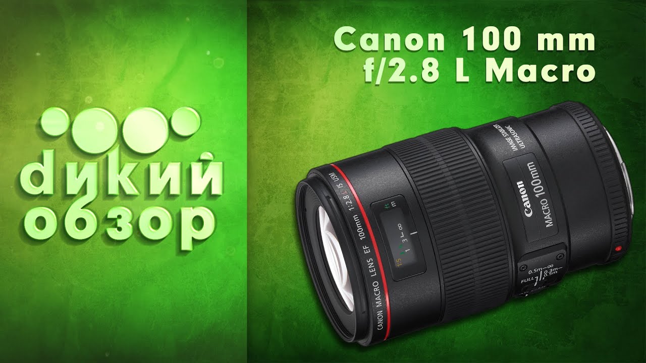 Объектив Canon EF 100mm f/2.8L Macro IS USM