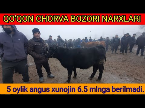 ENA-BOLA SIGIRLAR, BO'G'OZ SIGIR NARXLARI.  Qo'qon chorva bozori narxlari.