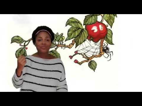 Storytime with Aunty Leann "Just for You" by Mercer Mayer