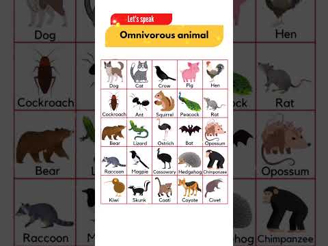 Omnivorous Animals Name in English #shorts