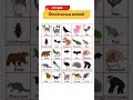 Omnivorous Animals Name in English #shorts