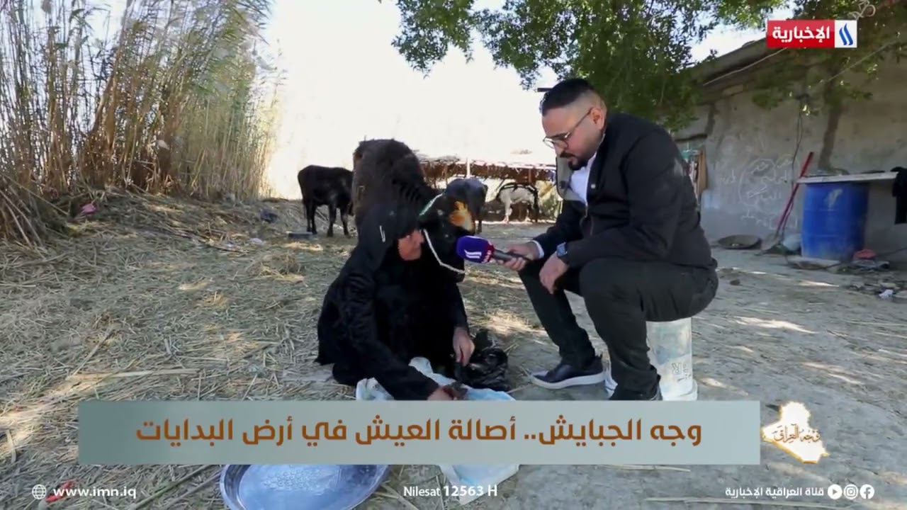 فيديو | ام سلمان: الحلال بعز روحي والجاموس الذي اربيه لا آكل منه