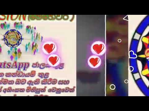 විරිඳු  ගායනය  කපිල දේවප්‍රිය  නිර්මාණය  : නදි & කපිල දේවප්‍රිය  වැඩසටහන් ඒකකයේ පලමු නිර්මාණය  ❤❤