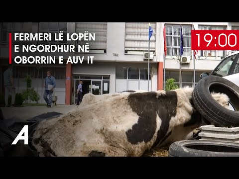 Fermeri lë lopën e ngordhur në oborrin e AUV-it - ATV