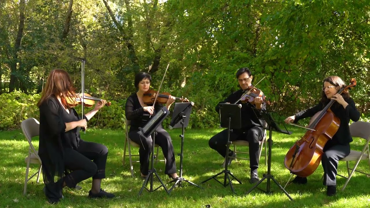Promotional video thumbnail 1 for Rubato Quartet