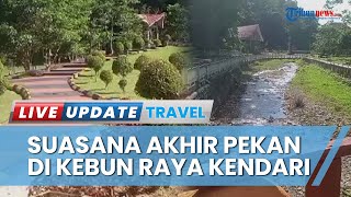 Nikmati Akhir Pekan di Kebun Raya Kendari, Hanya Perlu Rogoh Kocek Rp 3 Ribu Saja