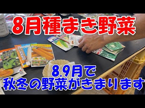  8月には何を植えますか？季節の主役野菜や花々にズームアップ！  庭園