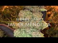 Merry Jane ( Javier Mendoza ) 🔥Corridos V420🔥