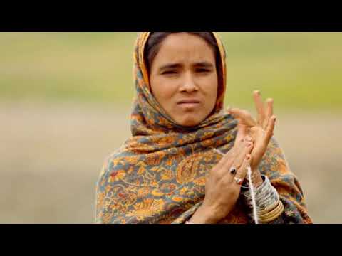 Deosai - The Last Sanctuary