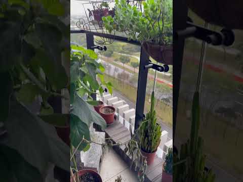 長いバルコニーのレイアウト 2022: 外観を飾るために Web から収集した最高のアイデア  庭園